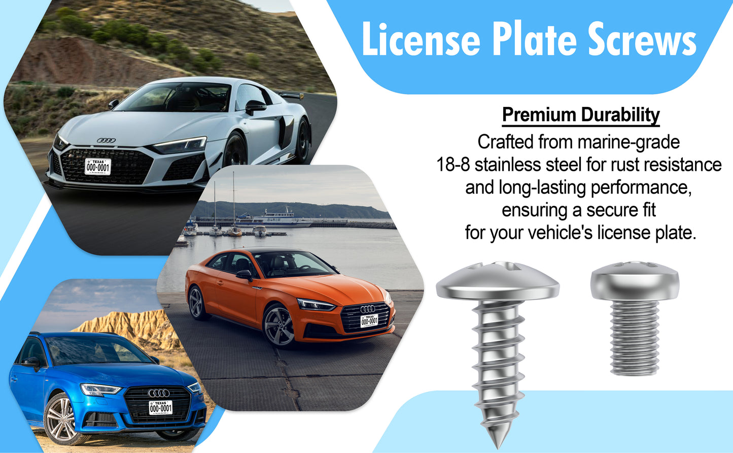 Prime Ave Stainless Steel License Plate Screws Compatible with Audi A3 A4 A5 A6 A7 A8 S3 S4 S5 S6 S7 S8 RS3 RS4 RS5 RS6 RS7 Q3 Q4 Q5 Q7 Q8 SQ5 SQ7 SQ8 RS Q8 TT TTS TT RS R8 E-tron (Standard Length)